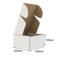 Изображение 2875