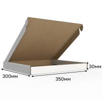 Изображение 2528