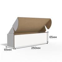 photo_5458409490958381891_x