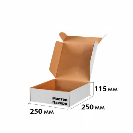 Короб самосборный с ушками 250*250*115 белый В для обуви